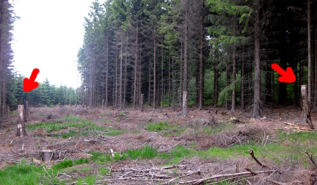 Klar erkennbar sind hier die Begrenzungen der kommenden Panzerroute