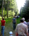 So sollte ein gesunder Wald aussehen!